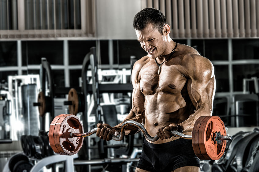 guy bodybuilder , execute exercise with weight in gym, horizontal photo